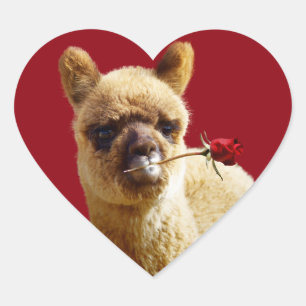 I Love Alpacas Heart Stickers for Animal Lovers