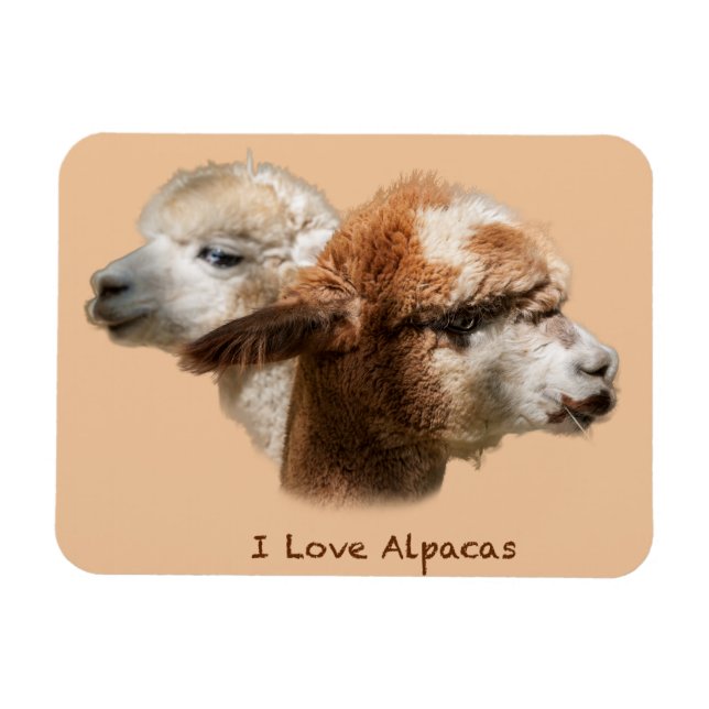 I Love Alpacas Magnets (Horizontal)