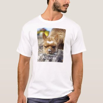 I Love Alpacas T-shirt by WalnutCreekAlpacas at Zazzle