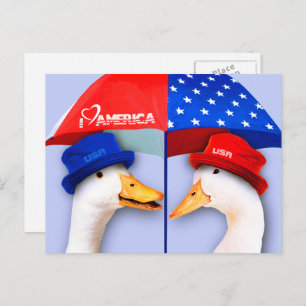I Love America. Funny Patriotic Ducks Postcard