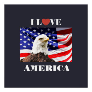 I Love America Poster