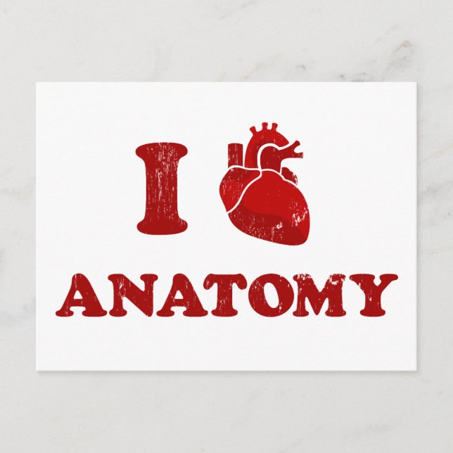 i love anatomy2 postcard (Front)