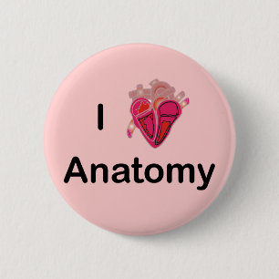 I Love Anatomy with human heart! Button