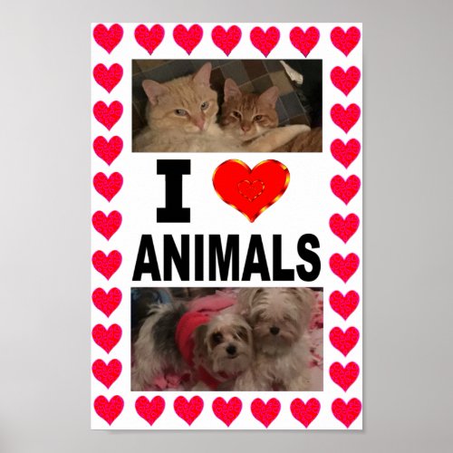 I Love Animals Poster