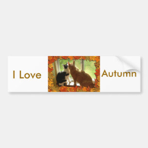 I love Autumn Bumper Sticker