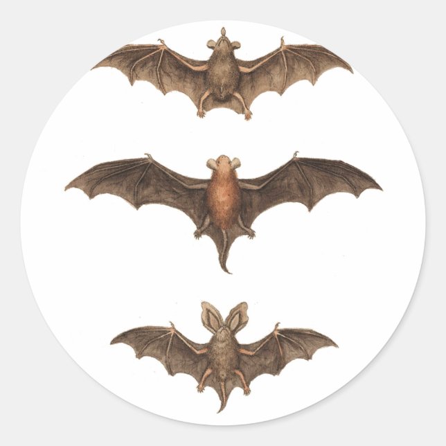 I love bats classic round sticker (Front)