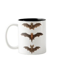 I love bats