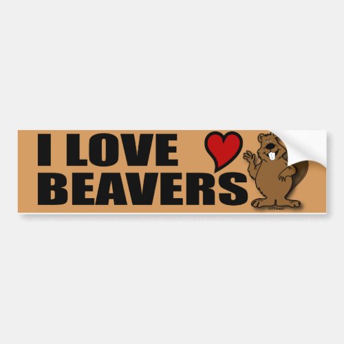 I Love Beavers Bumper Sticker