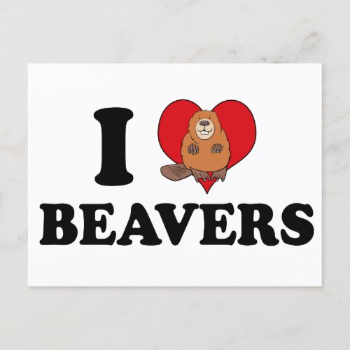 I Love Beavers Funny Postcard