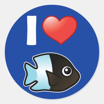 I Love Bicolor Damselfish Classic Round Sticker