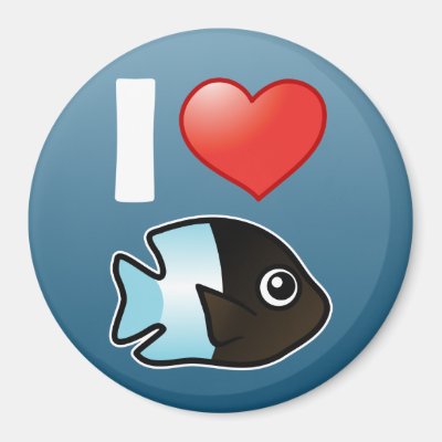 I Love Bicolor Damselfish Magnet
