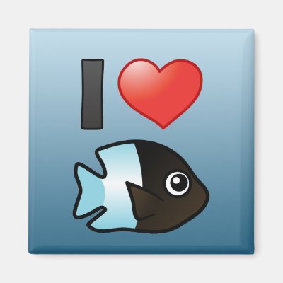 I Love Bicolor Damselfish Magnet
