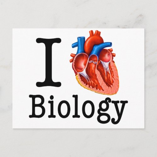 I Love Biology Postcard