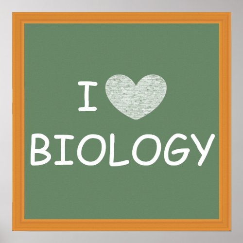 I Love Biology Poster