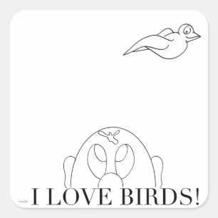 I love birds sticker