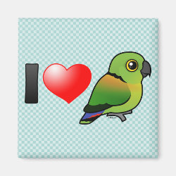 I Love Black-collared Lovebirds Square Magnet