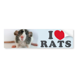 I love (blazed) Rats Bumper Sticker