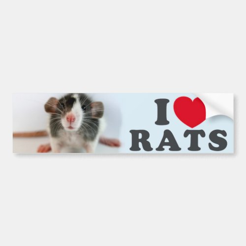 I love blazed Rats Bumper Sticker