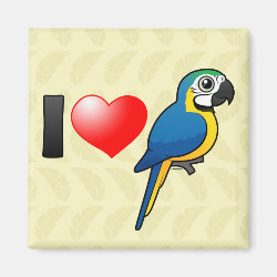 I Love Blue-and-yellow Macaws Square Magnet