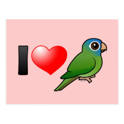 I Love Blue-crowned Conures Postcard