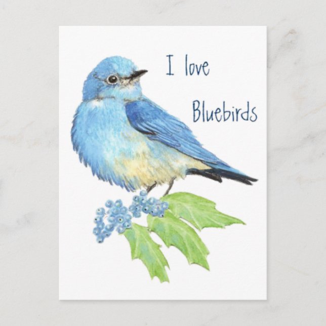 I love Bluebirds, Bird Collection Postcard (Front)
