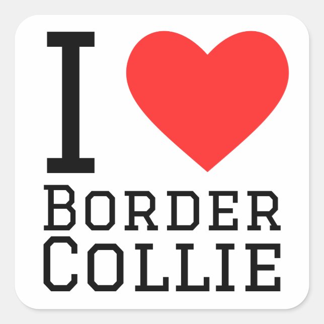 I love border collie square sticker (Front)