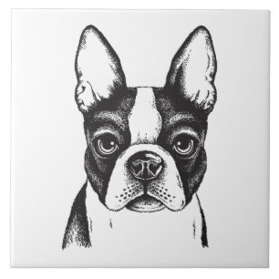 I love Boston Terriers Ceramic Tile