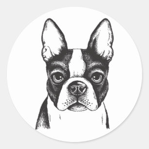 I love Boston Terriers Classic Round Sticker
