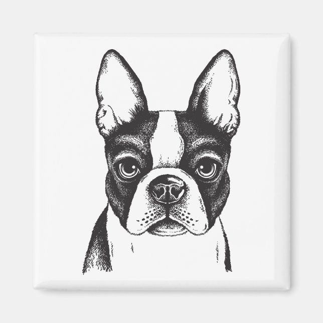 I love Boston Terriers Magnet (Front)