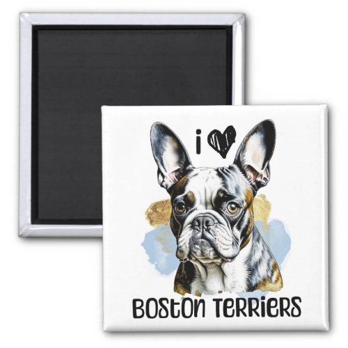 I Love Boston Terriers  Magnet