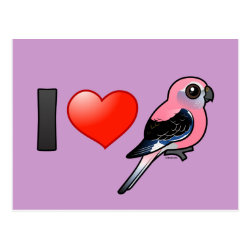 I Love Bourkies Postcard