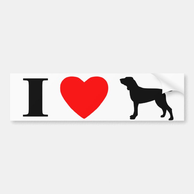 I Love Bracchi Italiani Bumper Sticker (Front)