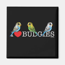I Love Budgies Square Magnet