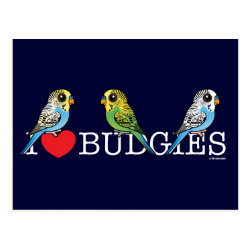 I Love Budgies Postcard
