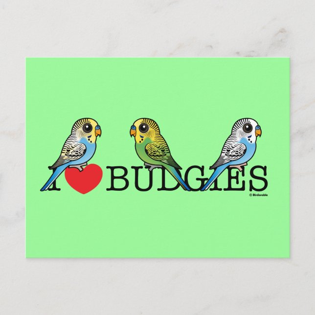 I Love Budgies Postcard (Front)