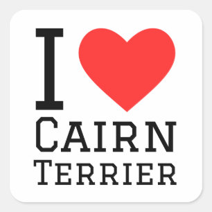 I love cairn terrier square sticker