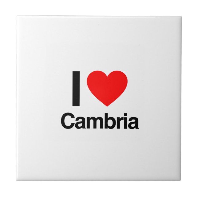 i love cambria tile (Front)