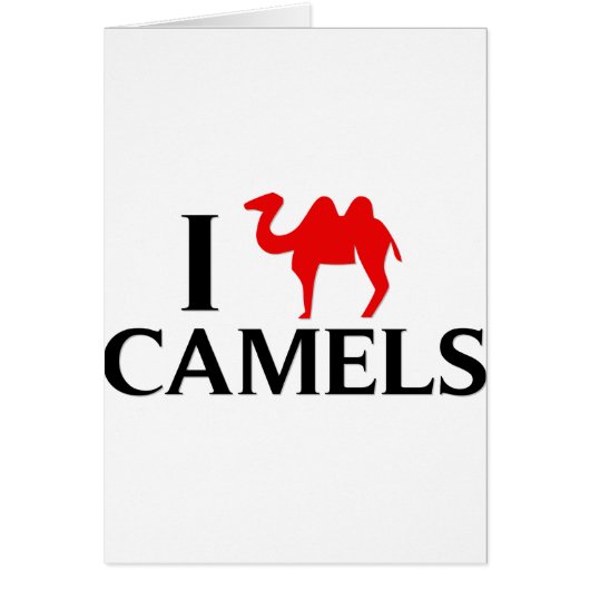 I Love Camels (Front)