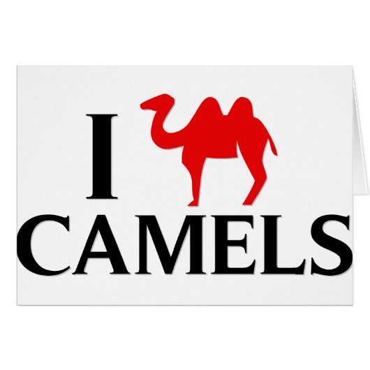 I Love Camels Cards (Front Horizontal)