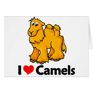 I Love Camels Cards