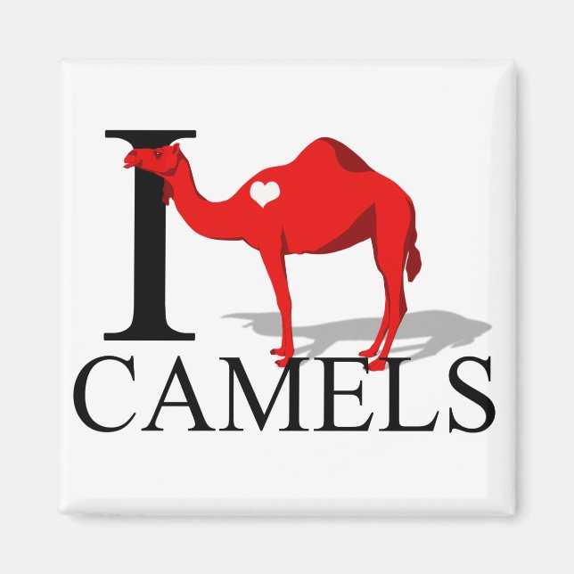 I Love Camels Magnets (Front)