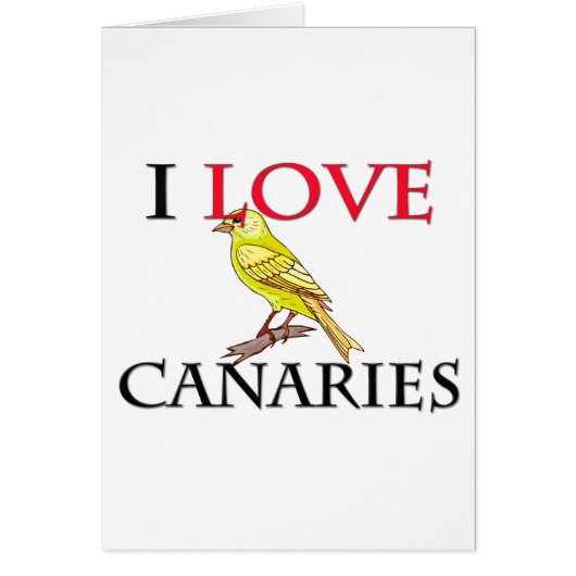 I Love Canaries Cards (Front)
