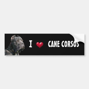 I Love Cane Corsos Bumper Sticker