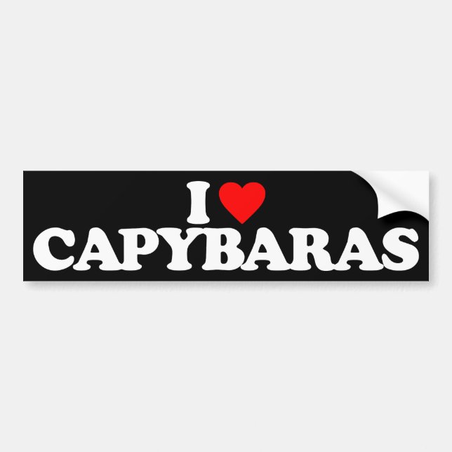I LOVE CAPYBARAS BUMPER STICKER (Front)