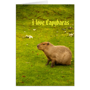 I love capybaras Card