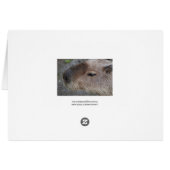 I love capybaras cards (Back Horizontal)
