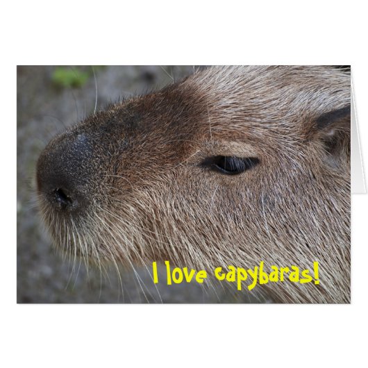 I love capybaras cards (Front Horizontal)