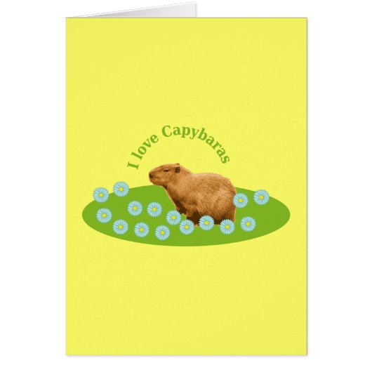 I love Capybaras Cards (Front)