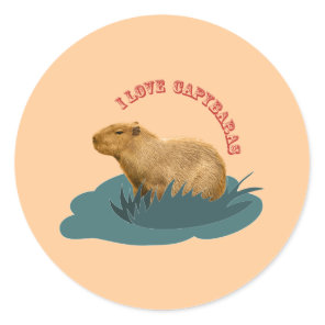 I love capybaras classic round sticker