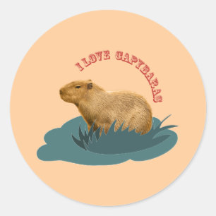I Love Capybaras Cute Capybara Lover Classic Round Sticker